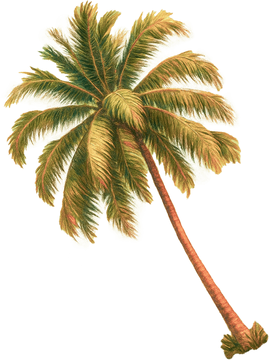 La Tiên Villa: Biệt thự ven biển sang trọng tại Nha Trang