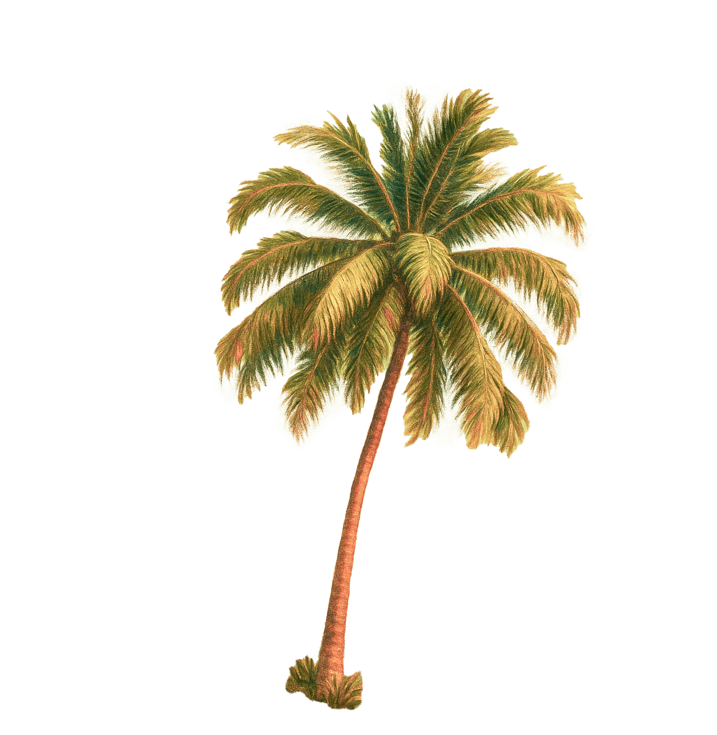 La Tiên Villa: Biệt thự ven biển sang trọng tại Nha Trang